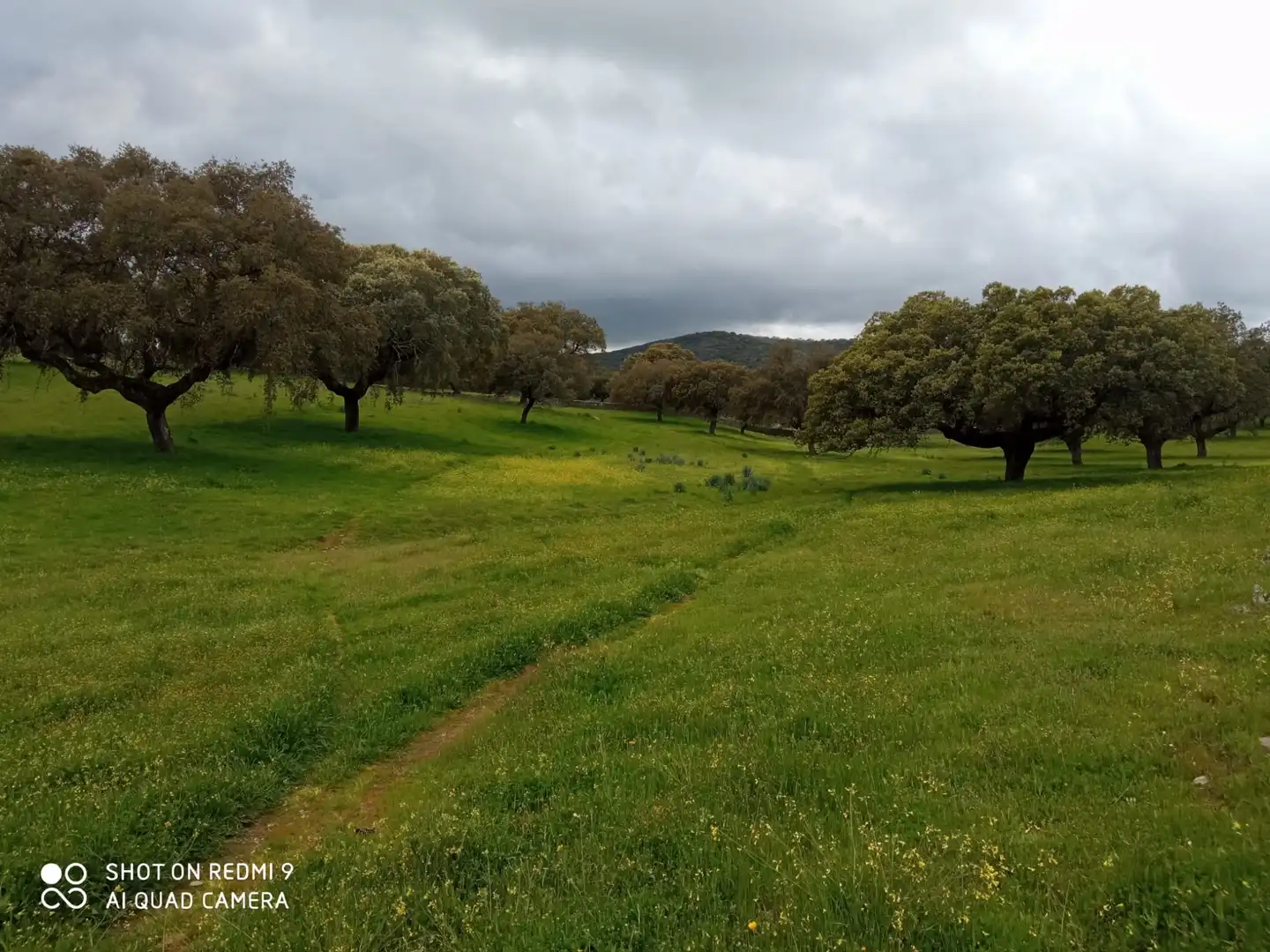 Finca rústica en venta en Calle Constitución, 2, Aldeacentenera Finca rústica en venta en Aldeacentenera con Jardín privado y Terraza