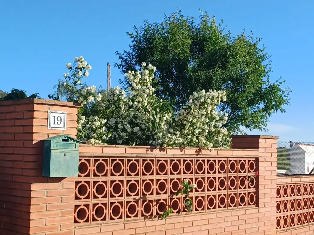 Exterior view of Houses for sale in Subirats  with Private garden, Storage room and Furnished