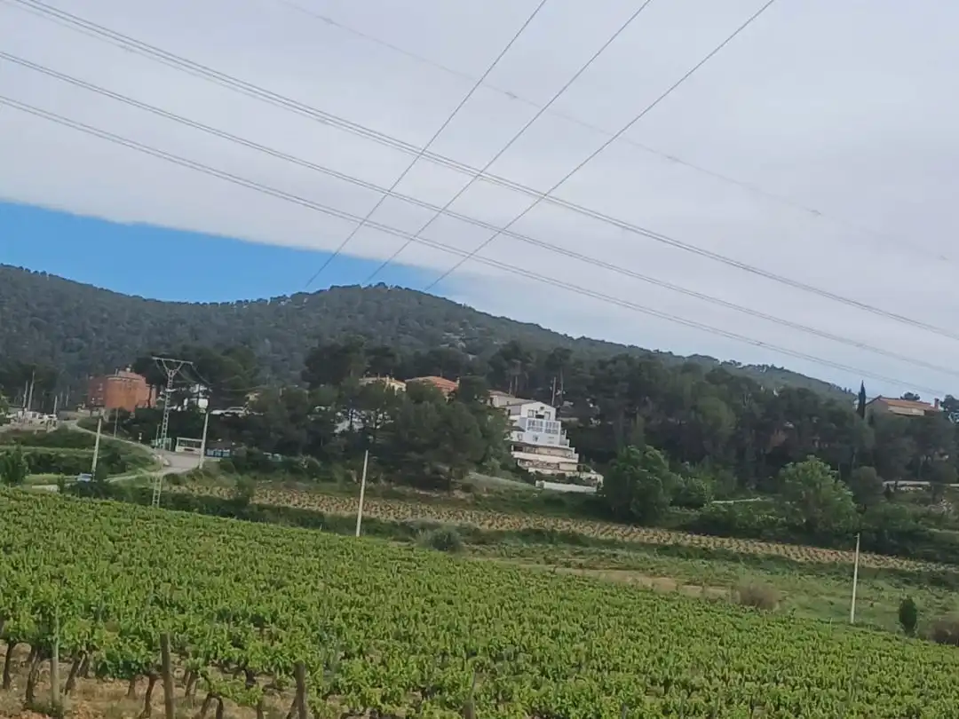 Houses for sale in Subirats  with Private garden, Storage room and Furnished