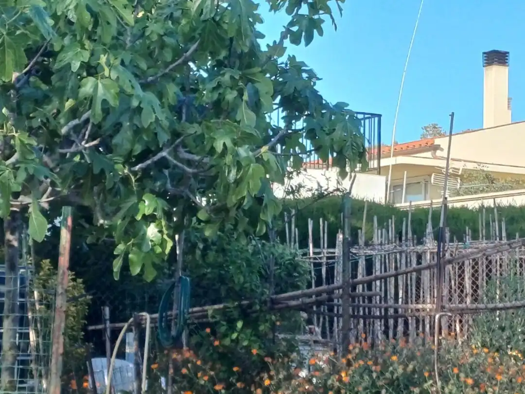 Houses for sale in Subirats  with Private garden, Storage room and Furnished