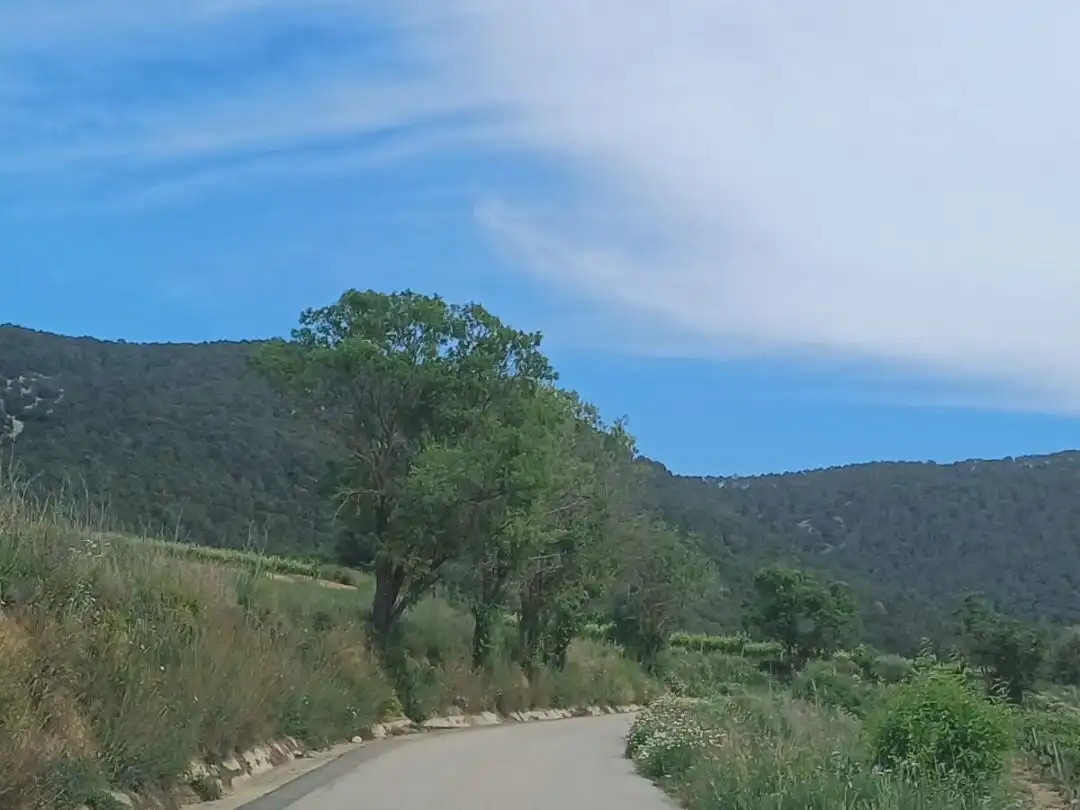 Houses for sale in Subirats  with Private garden, Storage room and Furnished