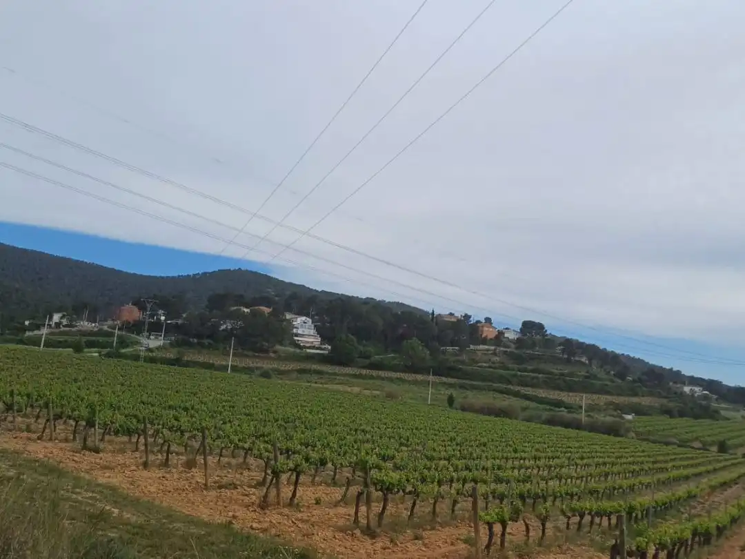 Houses for sale in Subirats  with Private garden, Storage room and Furnished