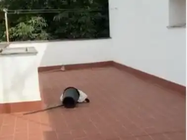 Piso en venta en El Viso Piso en venta en El Viso