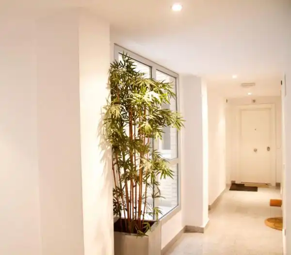 Wohnung zur Miete in Calle de Felipe Campos, 10, El Viso Wohnung zur Miete in Madrid