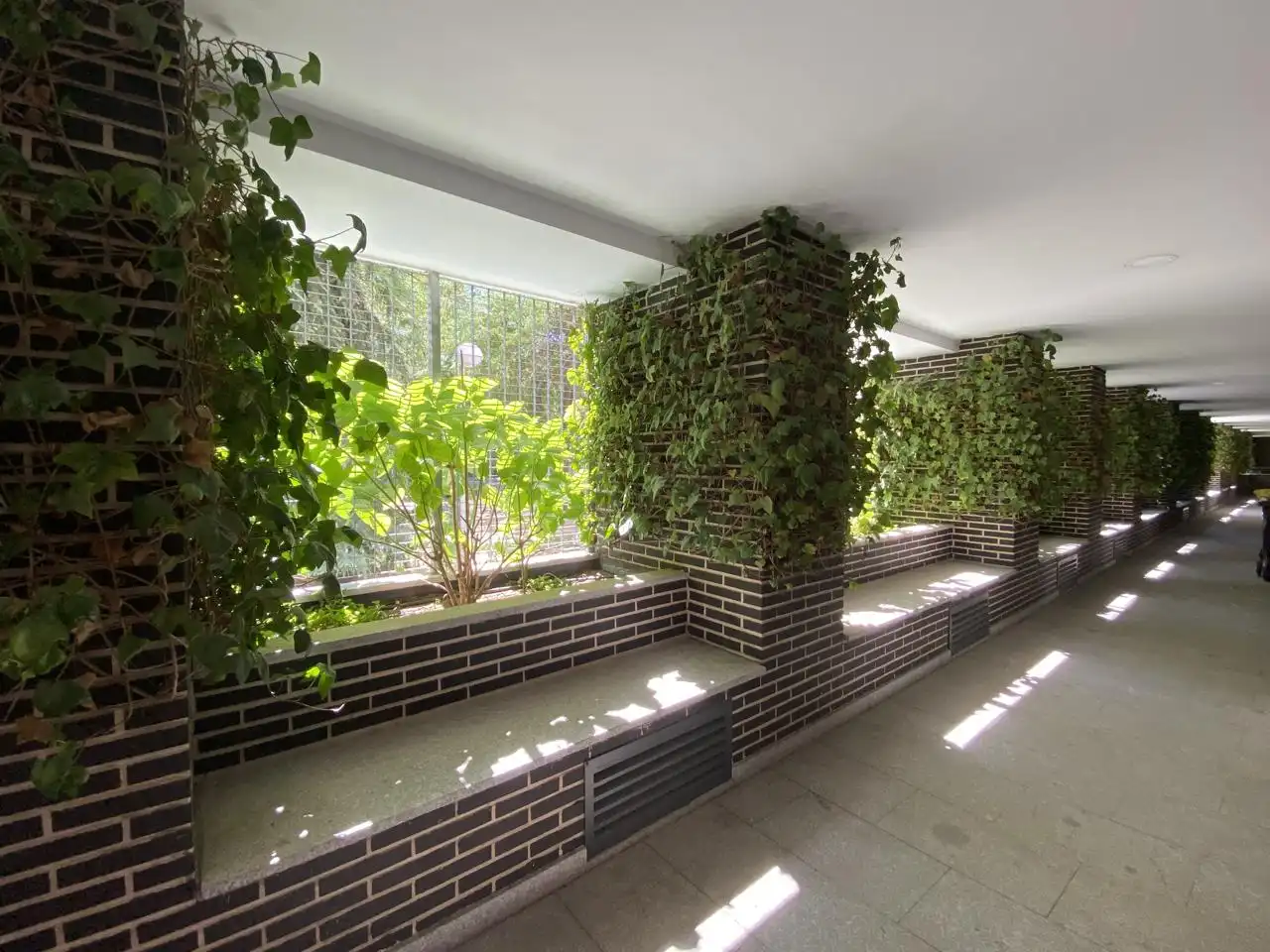 Wohnung zur Miete in Calle de Felipe Campos, 10, El Viso Terrasse von Wohnung zur Miete in Madrid