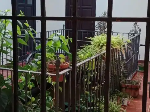 Flat for rent in Plaza San Marcos, 1, Feria Balcony of Flat for rent in Sevilla with Air Conditioner and Furnished