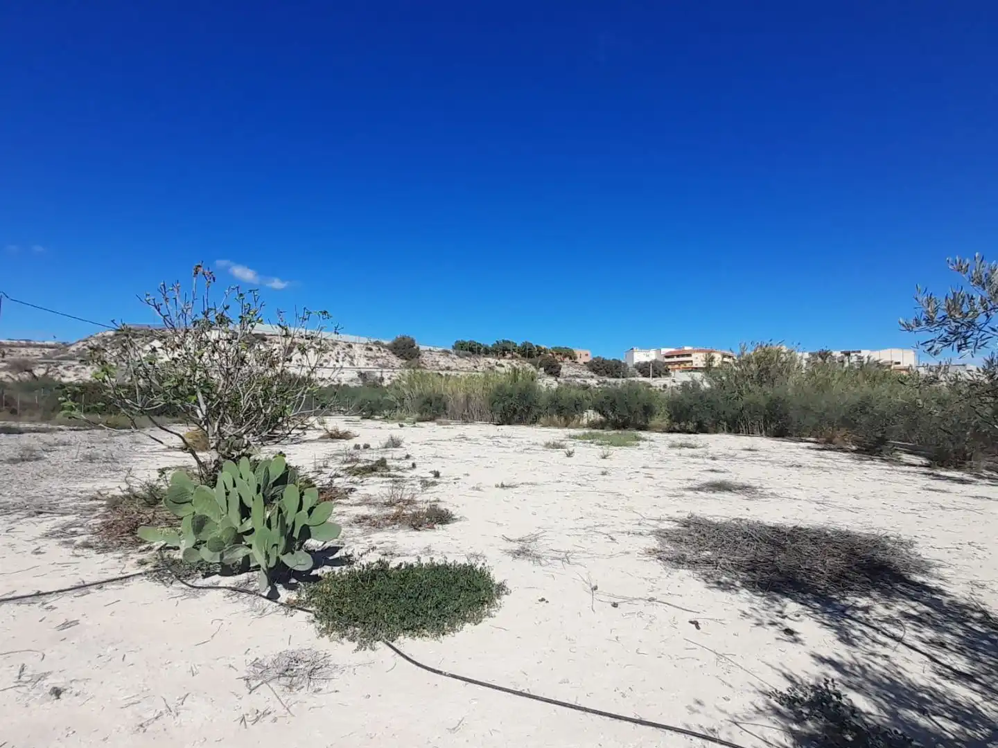 Finca rústica en venda a Calle Covadonga, 11, Campos del Río Finca rústica en venda en Campos del Río amb Terrassa, Traster i Piscina