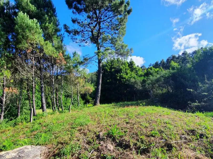 Casa o xalet en venda a Estrada dos Camiños Chans, 153, Cee Casa o xalet en venda en Cee