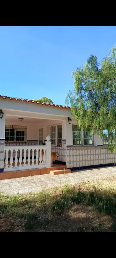 Casa o xalet en venda a 3ª Avenida, Dehesilla de Calamón - Campomanes Vista exterior de Casa o xalet en venda en Badajoz amb Aire condicionat, Jardí privat i Terrassa