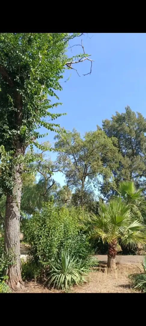Casa o xalet en venda a 3ª Avenida, Dehesilla de Calamón - Campomanes Vista exterior de Casa o xalet en venda en Badajoz amb Aire condicionat, Jardí privat i Terrassa
