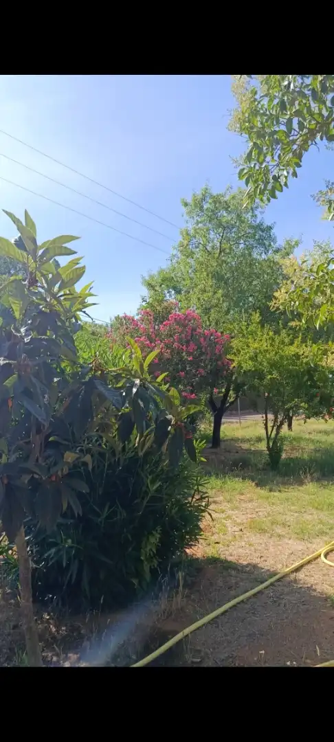 Casa o xalet en venda a 3ª Avenida, Dehesilla de Calamón - Campomanes Jardí de Casa o xalet en venda en Badajoz amb Aire condicionat, Jardí privat i Terrassa