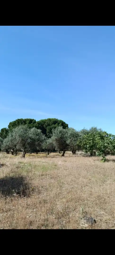 Casa o xalet en venda a 3ª Avenida, Dehesilla de Calamón - Campomanes Casa o xalet en venda en Badajoz amb Aire condicionat, Jardí privat i Terrassa