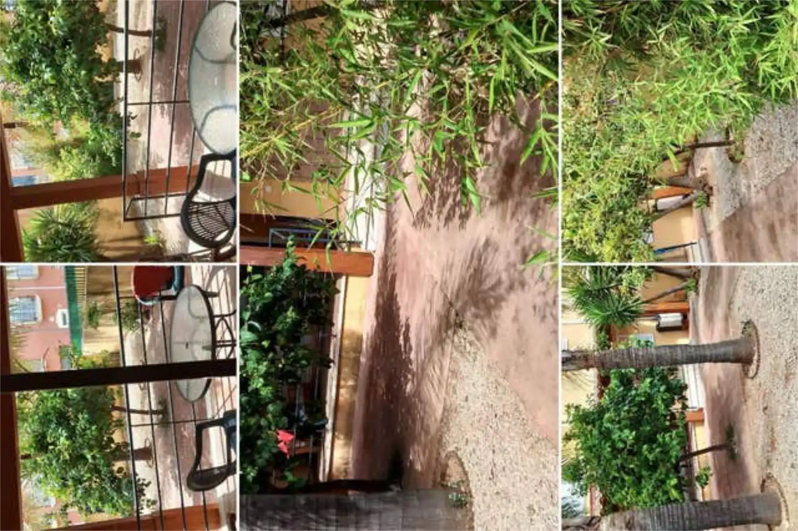 Casa o chalet en venta en Novelé / Novetlè Jardín de Casa o chalet en venta en Novelé / Novetlè con Terraza