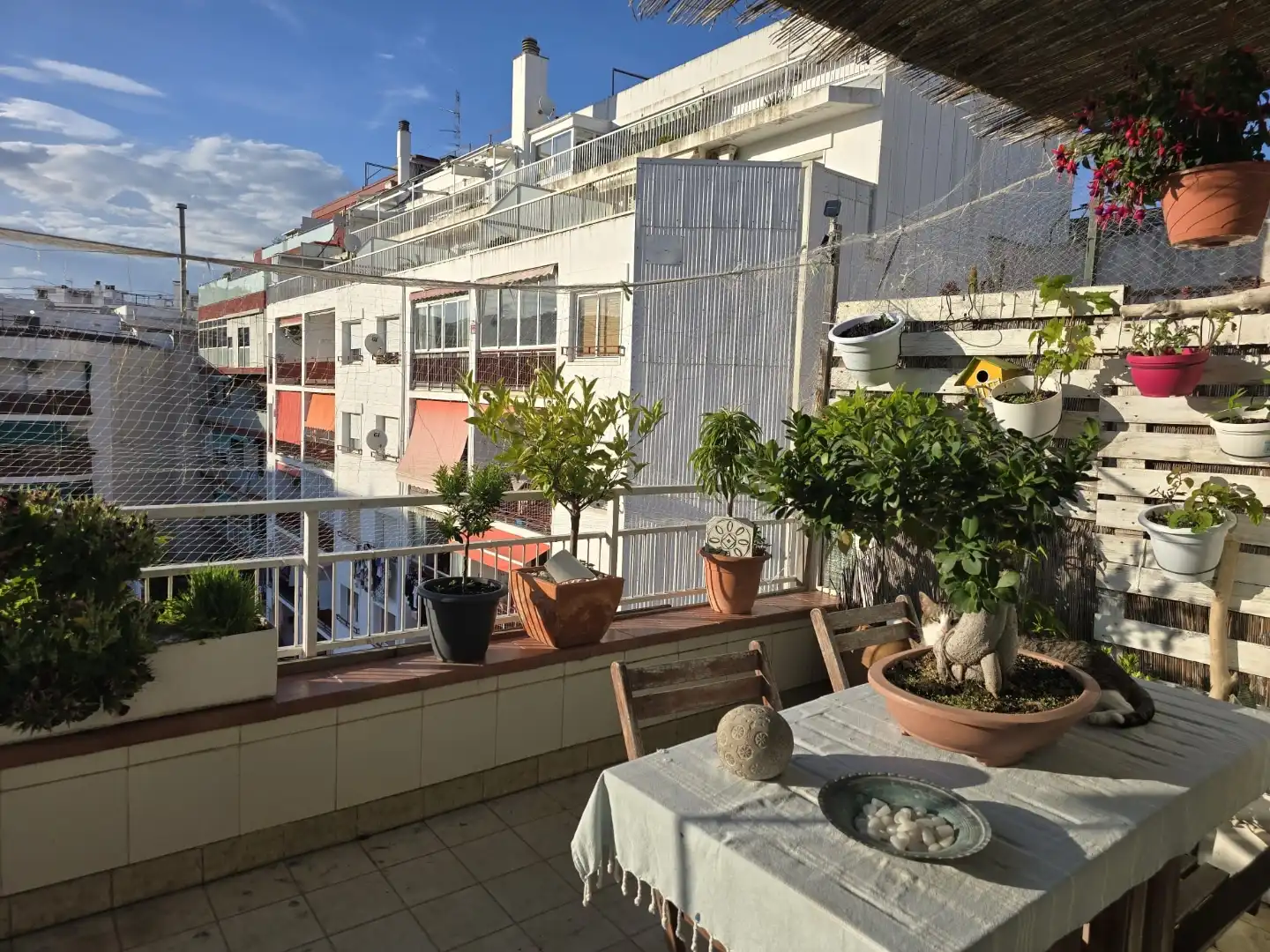 Flat for sale in N-2, 123, Centre Terrace of Flat for sale in Pineda de Mar with Terrace