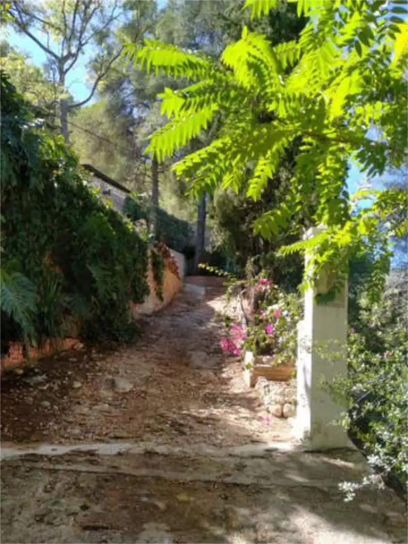 Jardín de Casa o chalet de alquiler en Vilallonga / Villalonga con Jardín privado, Terraza y Se aceptan mascotas