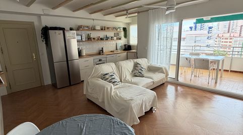 Apartamento en venta en Carrer de la Devesa, 39, Playa de Gandia, Gandia - imagen 5 Foto 5 de Apartamento en venta en Carrer de la Devesa, 39, Playa de Gandia, Gandia