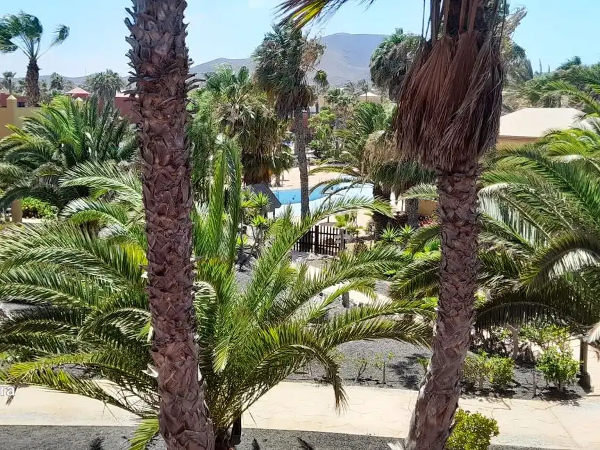 Vista exterior de Apartamento en venta en La Oliva con Terraza y Piscina