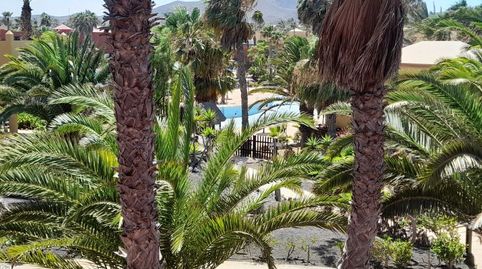 Apartamento en venta en Calle Guirre, 1, Corralejo, La Oliva - imagen 4 Foto 4 de Apartamento en venta en Calle Guirre, 1, Corralejo, La Oliva