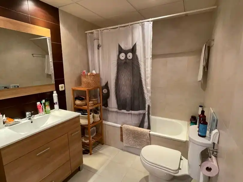 Flat for rent in Calle Agustina de Aragón, 1, Aguas Vivas - La Zambomba Bathroom of Flat for rent in Cáceres with Air Conditioner, Heating and Parquet flooring