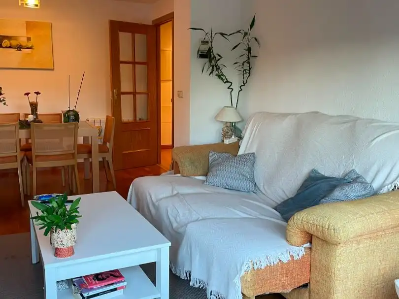 Flat for rent in Calle Agustina de Aragón, 1, Aguas Vivas - La Zambomba Living room of Flat for rent in Cáceres with Air Conditioner, Heating and Parquet flooring