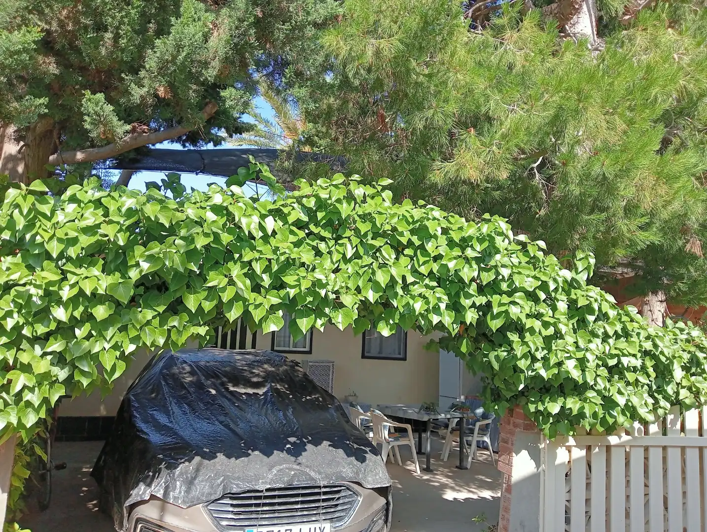 Casa o chalet de alquiler en Rm-12, 9, Mar Menor de Cartagena – Cabo de Palos Jardín de Casa o chalet de alquiler en Cartagena con Terraza