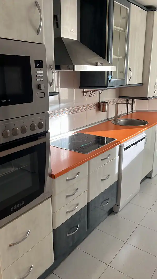 Flat for rent in Paseo de Zorrilla, 165, Parque Alameda - Paula López Flat for rent in Paseo de Zorrilla, 165, Parque Alameda - Paula López