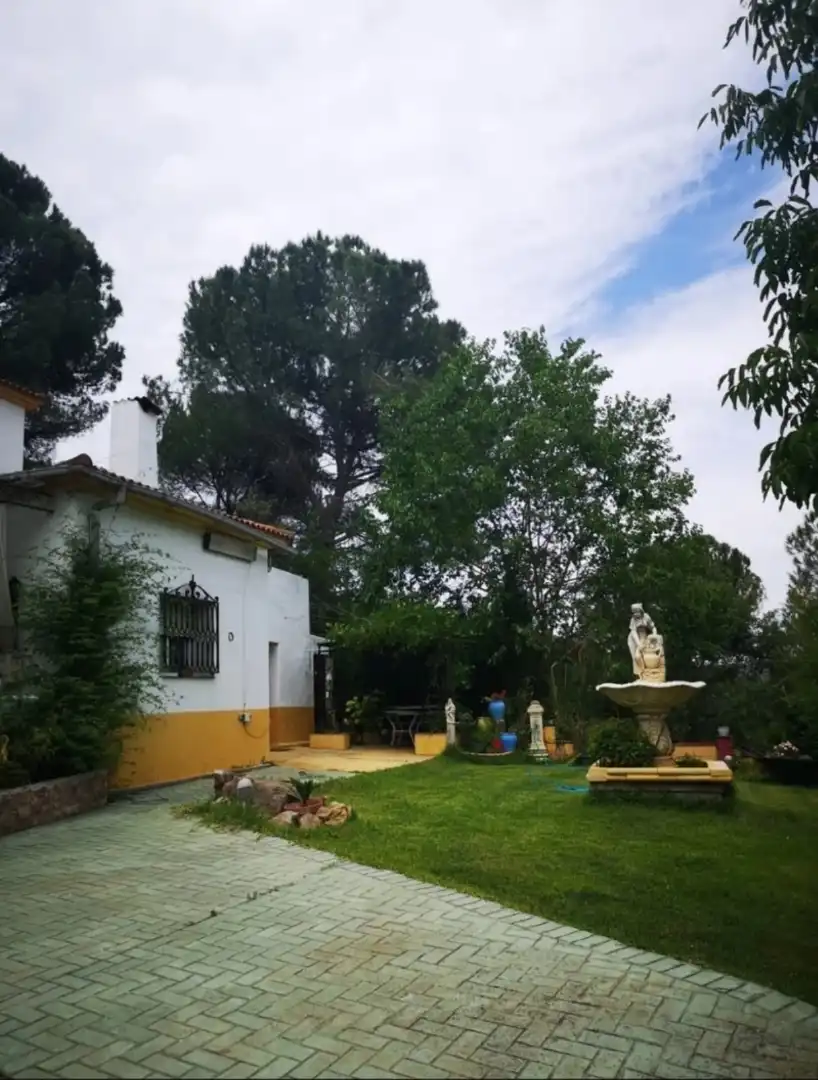 Casa o xalet de lloguer a Travesia de la Fuente, 30, Santa Maria de Trassierra Jardí de Casa o xalet de lloguer en Córdoba amb Aire condicionat, Calefacció i Jardí privat