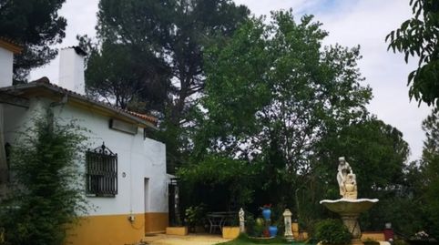 Casa o xalet de lloguer a Travesia de la Fuente, 30, Santa Maria de Trassierra, Córdoba Capital - imatge 3 Foto 3 de Casa o xalet de lloguer a Travesia de la Fuente, 30, Santa Maria de Trassierra, Córdoba Capital
