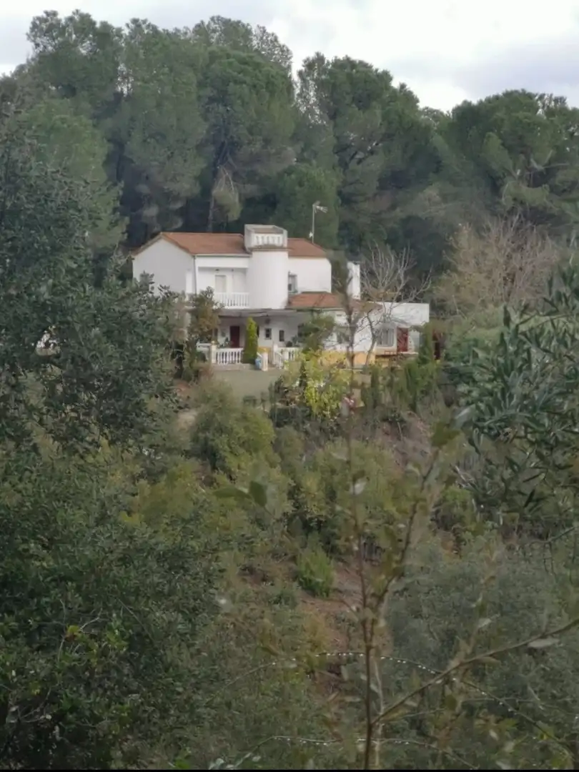 Casa o xalet de lloguer a Travesia de la Fuente, 30, Santa Maria de Trassierra Vista exterior de Casa o xalet de lloguer en Córdoba amb Aire condicionat, Calefacció i Jardí privat