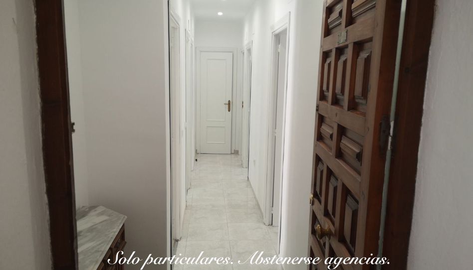 Flat for rent in Plaza Bruselas, 2, Ruta de la Plata, Cáceres Capital - image 1 Photo 1 of Flat for rent in Plaza Bruselas, 2, Ruta de la Plata, Cáceres Capital