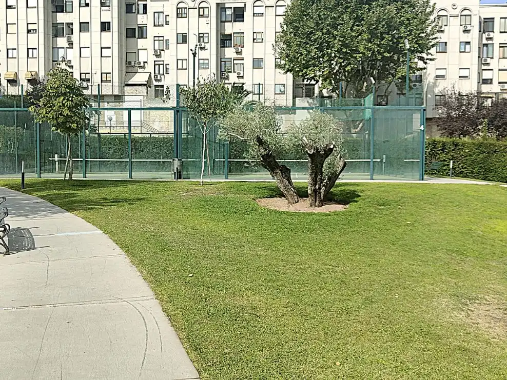 Wohnung zur Miete in Calle de Nanclares de Oca, 26, Rejas Garten von Wohnung zur Miete in Madrid Capital mit Klimaanlage, Schwimmbad und Balkon