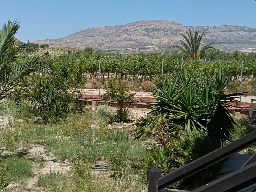 Casa o chalet en venta en Partida Sol del Camp, 105, Agost Casa o chalet en venta en Agost con Aire acondicionado y Piscina