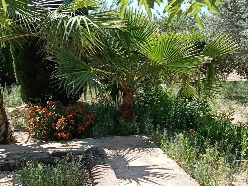 Casa o chalet en venta en Partida Sol del Camp, 105, Agost Jardín de Casa o chalet en venta en Agost con Aire acondicionado y Piscina