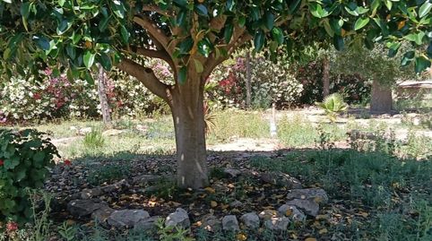 Photo 3 of Houses for sale in Partida Sol del Camp, 105, Agost, Alicante