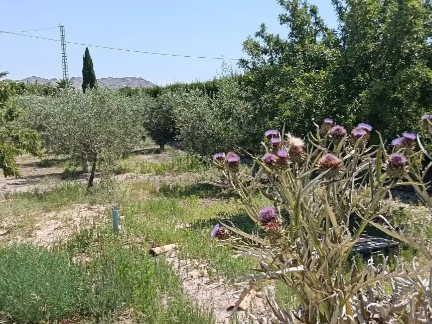 Casa o chalet en venta en Partida Sol del Camp, 105, Agost Casa o chalet en venta en Agost con Aire acondicionado y Piscina