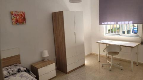Room in Pago San José - Princi - Jerez, Jerez de la Frontera - image 3 Photo 3 of Room in Pago San José - Princi - Jerez, Jerez de la Frontera