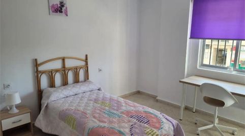 Room in Pago San José - Princi - Jerez, Jerez de la Frontera - image 4 Photo 4 of Room in Pago San José - Princi - Jerez, Jerez de la Frontera