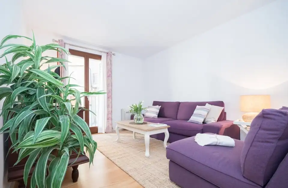 Flat for rent in Carrer de Can Sanç, 8, Palma de Mallorca Living room of Flat for rent in Palma de Mallorca with Air Conditioner