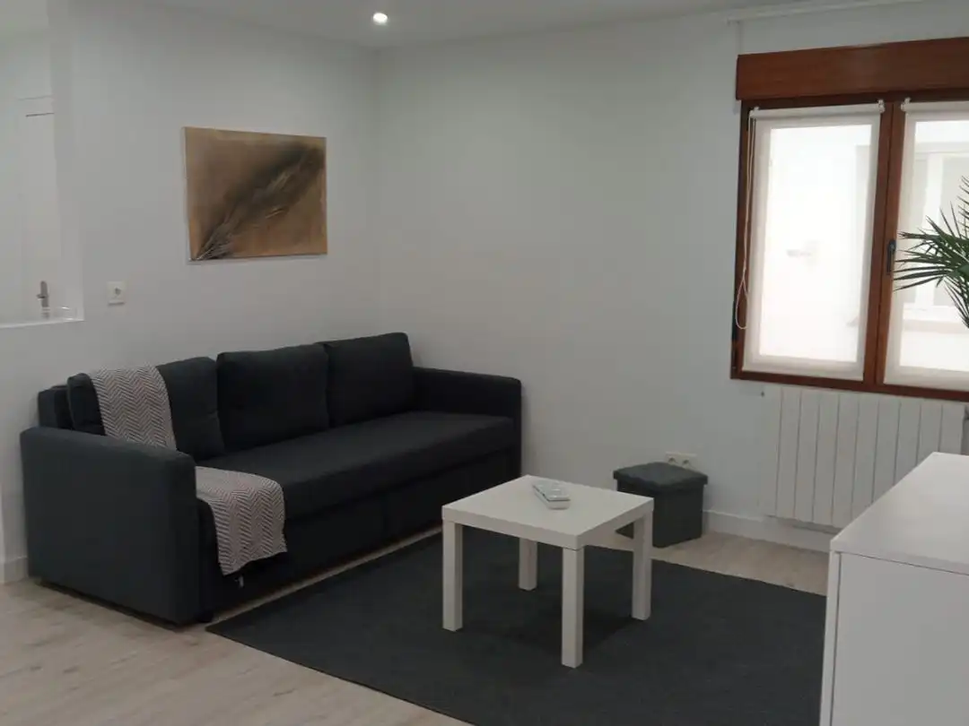 Sala d'estar de Apartament de lloguer en Gijón  amb Calefacció, Parquet i Moblat