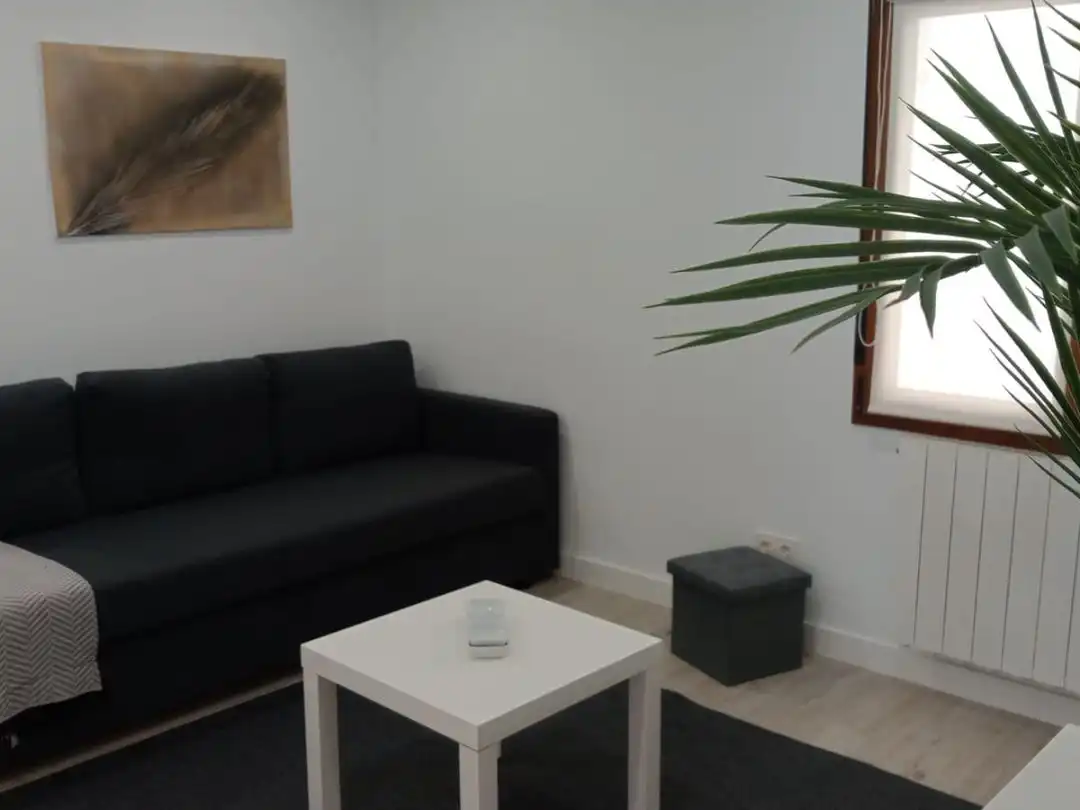 Sala d'estar de Apartament de lloguer en Gijón  amb Calefacció, Parquet i Moblat
