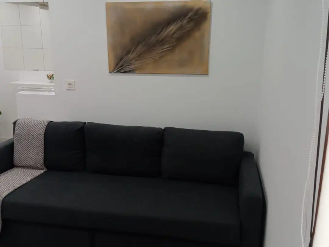 Sala d'estar de Apartament de lloguer en Gijón  amb Calefacció, Parquet i Moblat