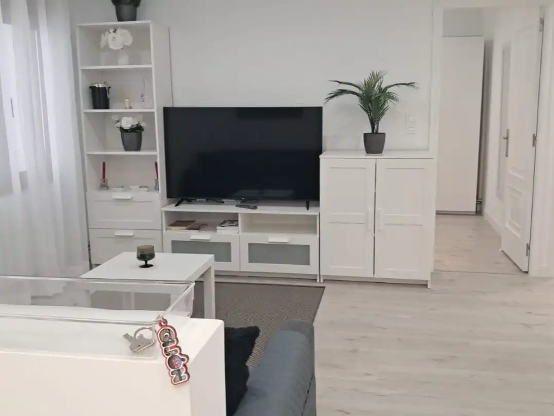Sala d'estar de Apartament de lloguer en Gijón  amb Calefacció, Parquet i Moblat