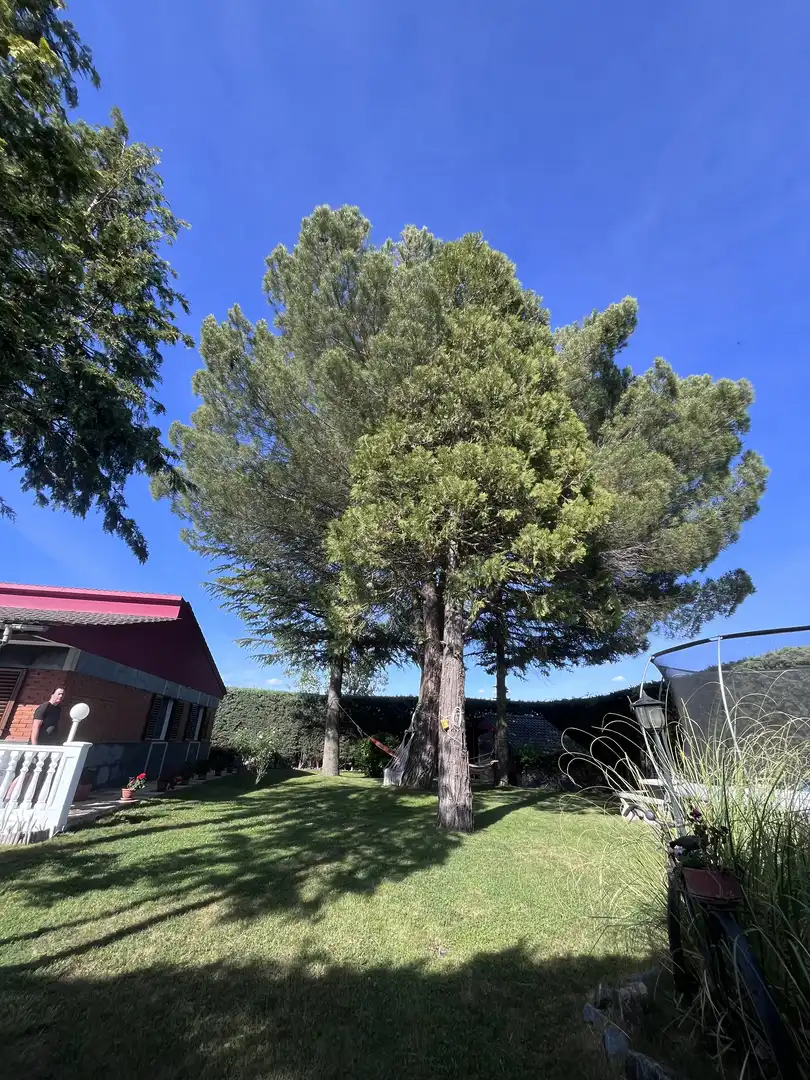 Casa o chalet en venta en Calle Llanos, 23, Mansilla de las Mulas Jardín de Casa o chalet en venta en Mansilla de las Mulas con Calefacción, Jardín privado y Terraza