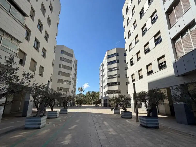 Pis en venda a Carrer Martín de Torres, 10, Centro Vista exterior de Pis en venda en Elche / Elx