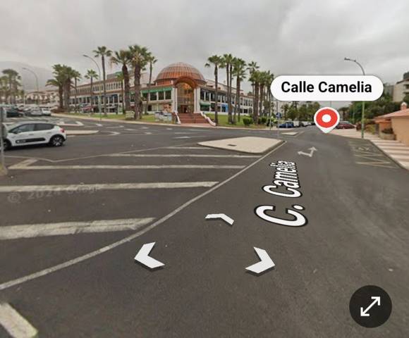 Piso en Alquiler en Calle Camelia, 2A en Zona Botánico