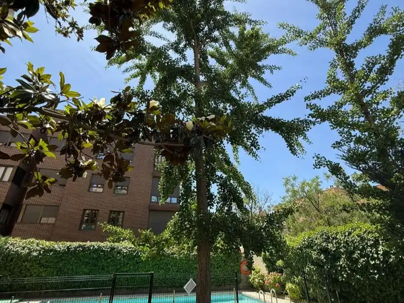 Piso de alquiler en Calle Sánchez Díaz, 6, Quintana Jardín de Piso de alquiler en Madrid con Aire acondicionado, Calefacción y Terraza