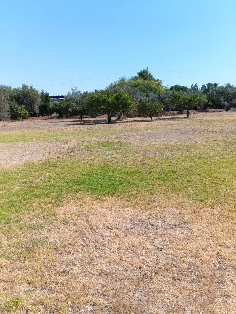 Country homes for sale in Calle Francisco Palacio Ortega, 1, Utrera Ciudad Country homes for sale in Utrera with Air Conditioner and Swimming Pool