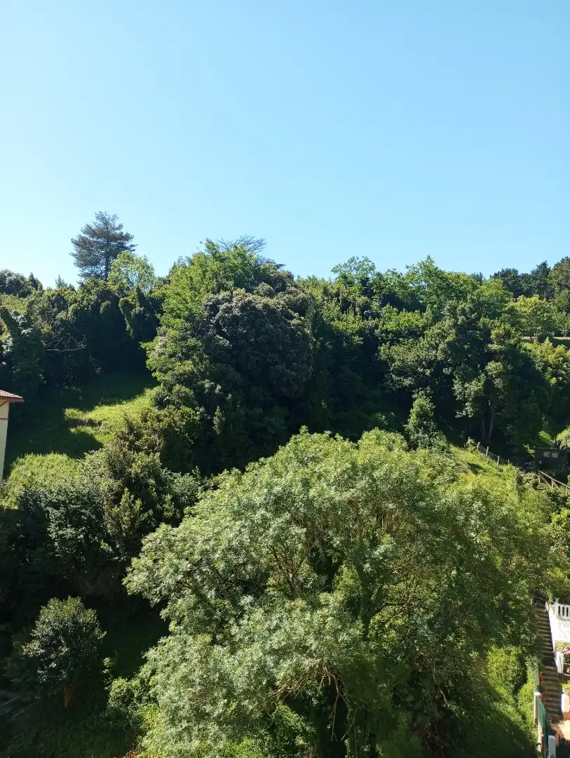 Piso en venta en San Jose Kalea, 29, Zumaia Piso en venta en Zumaia con Balcón