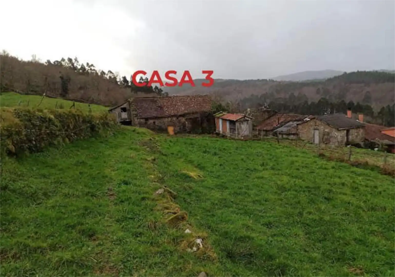 Houses for sale in Cerdedo Houses for sale in Cerdedo