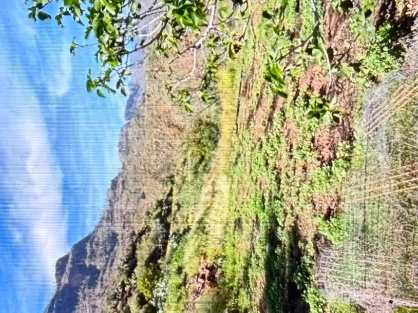 Pis en venda a Calle Soria, 48, Marzagán - Los Hoyos - La Montañeta Pis en venda en Las Palmas de Gran Canaria amb Jardí privat, Traster i Moblat